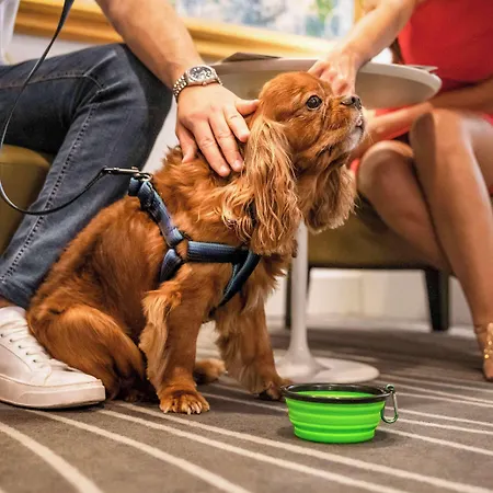 Mercure Centro Angioino Hotel Naples