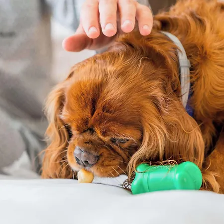 Mercure Centro Angioino 4*