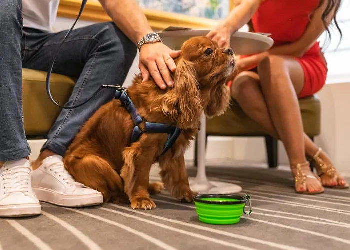 Mercure Centro Angioino