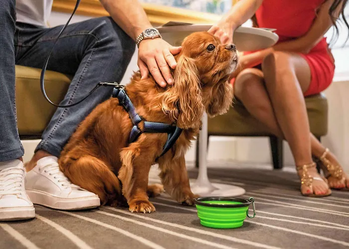 Mercure Centro Angioino Hotel Napoli