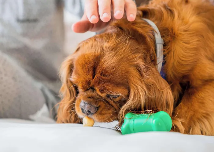 Mercure Centro Angioino 4*